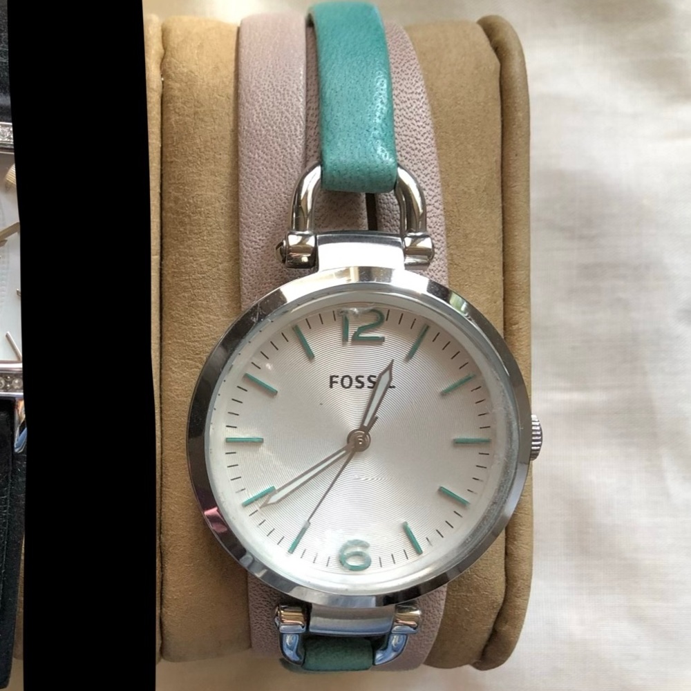 Georgia Fossil Watch